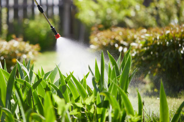 24/7 Emergency Mosquito Control experts in Kettering, OH